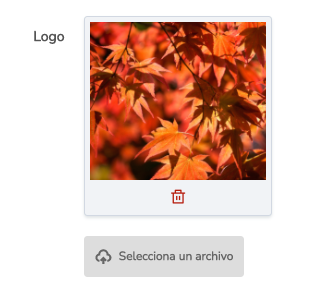 ImageField1