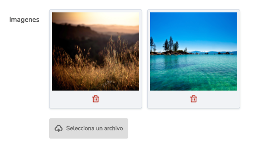 ImageField2